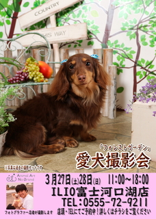 3月27日28日ILIO富士河口湖店様ポスターweb用 (002).jpg